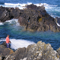 Angler at Eyemouth (taken on 4MP compact)