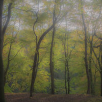Autumn Calm - Huw Thomas