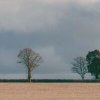 Big Field