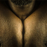 Bodyscape - Martin Janes