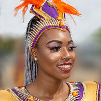 Carnival Girl - Alan Freestone