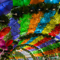 Colours of the rainbow--Neil Raffan--3