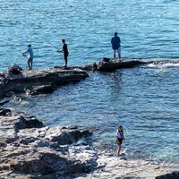 Daddy's Fishing David Owen