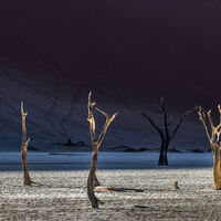 Deadvlei - John Whitby