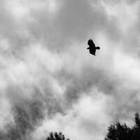 Death from above--Matt Tilford--1-3