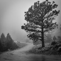 Driving through the Storm - Mike Dawes