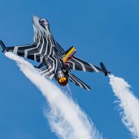 Fighting Falcon Neil Raffan