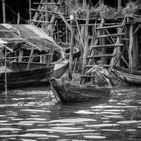Floating Village Life - Paul Taylor