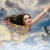 Flying Dreamer - Chris Mount