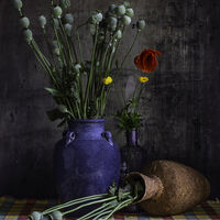 From the garden--Horace Goodenough--1