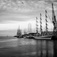 Harbour