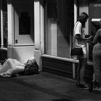 Haves and Have Not - Allan Metcalfe