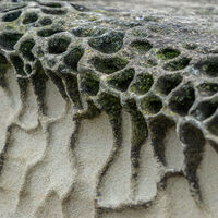 Heavily Weathered--Neil Jackson-Baker--1