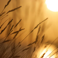 Into the Sunset - Mike Helft