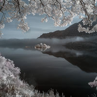 Island at Ullswater - Pete Swanson