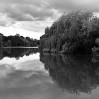 John Merricks Lake--Anthony Mason--2