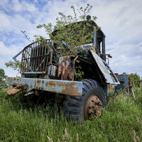 Keep on Trucking--Andrew Kirkby--1