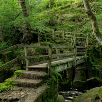Group B - Commended - Padley Gorge - James Attenborough