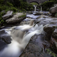 Group B - Highly Commended - 3 Shires Head - Barry Welch