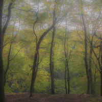 Group B - Commended - Autumn Calm - Huw Thomas