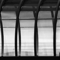 2020-01-29 - Monochrome PDIs