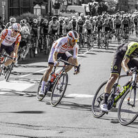 Highly Commended - Leaders of the Pack - Horace Goodenough