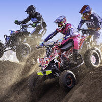 Commended - Beach Buggies - Horace Goodenough