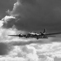 Group A - Commended - B17 - Ted Fussey