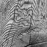 Group B - Commended - Oak Post Detail - David Walters