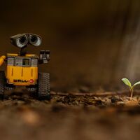 Highly Commended - Searching for Signs of Life - Mark Phillips