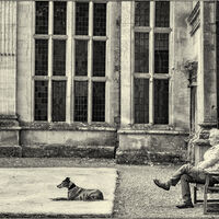 Commended - Master of the House - John Whitby