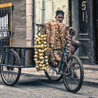 Group A - Second - Onion Seller - Martin Janes