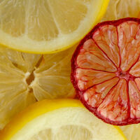 Group C - Third - Lemon Time - Paula Urbanek