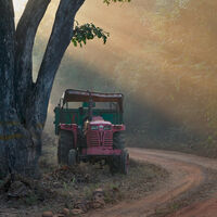 Group A - Third - Farm Track at Dawn - Mike Dawes
