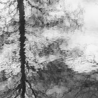 Group B - Commended - Reflective - David Walters