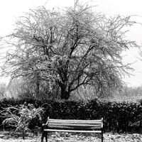 Group C - Commended - Under the Snow - Paula Urbanek
