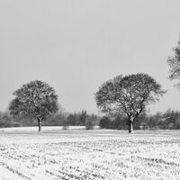 Group A - Commended - A Cold Winter's Day - Alan Rich