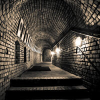 Group C - Commended - Polish Secret - Victor Anton