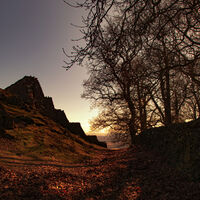 Group C - Highly Commended - Late Autumn Light - Carrie Woodhead