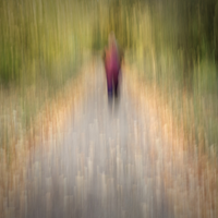 Third - Wayfaring Stranger - Trevor Rudkin