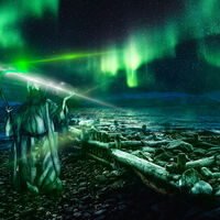 Highly Commended - Summon the Force - Martin Janes