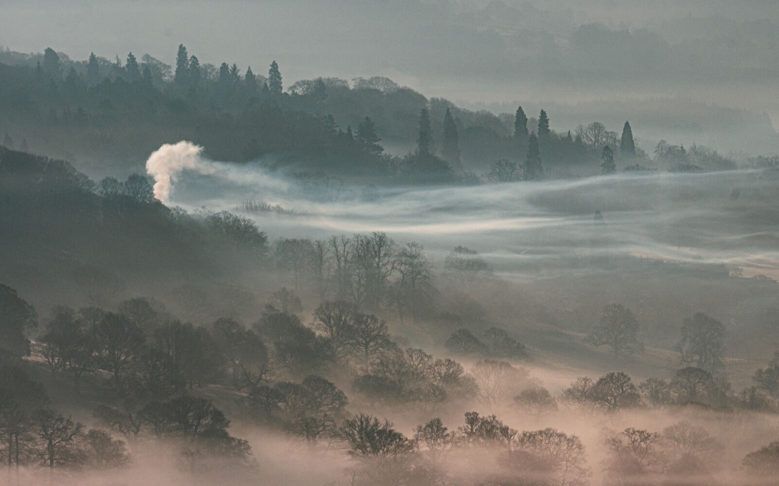 Group C - Second - Smoke in the Trees - Mark Radford