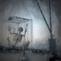 Highly Commended - Let Me Out - Horace Goodenough