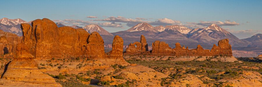 Second - Desert or Snow - Neil Raffan