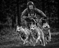 Highly Commended - Husky Racing - Martin Janes