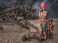 Highly Commended - Life in Ruins - John Whitby
