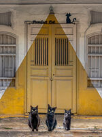 Highly Commended - My Favourite Friends - John Whitby