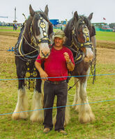 Commended - My Favourite Heavy Beauty - Edward McLean