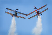 Group A - Commended - Wingwalkers - Kate Shaw