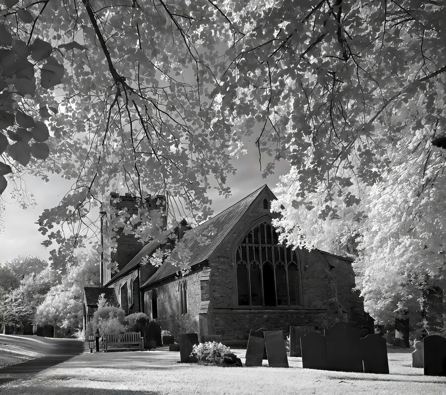 Group B - Highly Commended - Just a Summers Day - Tony Griffith